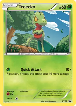 XY Black Star Promos Treecko Pokémon card